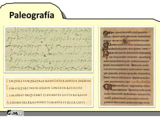 Paleografía
 
