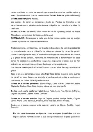 partes, mediante un corte transversal que se practica entre las costillas quinta y
sexta. Se obtienen dos cuartos, denominados Cuarto Anterior (parte delantera) y
Cuarto posterior (parte trasera).
Los cuartos de canal se transportan desde las Plantas de Beneficio a los
expendios de carne, donde manteniéndose colgados, se procede a la labor de
deshuese.
DESTAZADURA: Se refiere a cada uno de los trozos o piezas grandes de masas
Musculares, provenientes del despiece de la canal.
RETAZADURA: Corresponde a cada uno de los trozos o cortes que se pueden
obtener a partir de las diversas destazaduras.
Tradicionalmente, en Colombia, por legado de España se ha venido practicando
un procedimiento para la obtención de diferentes piezas de carne de ganado
bovino, cuyo objetivo ha sido, la separación de la porción muscular de los huesos
y la grasa de las canales. Asimismo, la nomenclatura o denominación de esos
cortes ha obedecido a costumbres y caprichos regionales o locales que se han
aplicado por generaciones en núcleos familiares fundamentalmente.
Los tipos de cortes practicados en Colombia buscan retirar la mayor cantidad de
grasa.
Todo el proceso comienza al llegar a los frigoríficos donde llegan ya como cuartos
de canal; en estos lugares se procede al deshuesado de estas y comienza el
proceso de los cortes de la siguiente manera:
Cortes en el cuarto posterior: Sobre barriga, Lomo Ancho, Colita de Cadera,
Muchacho Cadera, Bota, Bola, Lagarto interno de pierna.(anexo3)
Cortes en el cuarto posterior vista interna: Falda, Lomo Fino, Centro de Pierna,
Lagarto de pierna, Costilla, Hueso Carnudo.
Cortes en el cuarto anterior: Tapa de Cogote y sobre barriga, Pecho, Cogote,
Lomo, Ancho Lomo de Brazo, Paletero, Bola de Brazo, Hueso Poroso.
Cortes en el cuarto anterior vista externa: Lagarto de Brazo, Costilla, Hueso
Carnudo.
Por otra parte tenemos a los tipos de cortes europeos (españoles) que son
regidos por una normatividad en la cual se especifica desde el peso que deben
 