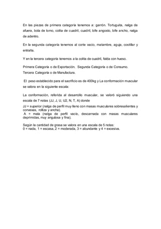 En las piezas de primera categoría tenemos a: garrón. Tortuguita, nalga de
afuera, bola de lomo, colita de cuadril, cuadril, bife angosto, bife ancho, nalga
de adentro.
En la segunda categoría tenemos al corte vacio, matambre, aguja, costillar y
entraña.
Y en la tercera categoría tenemos a la colita de cuadril, falda con hueso.
Primera Categoría o de Exportación. Segunda Categoría o de Consumo.
Tercera Categoría o de Manufactura.
El peso establecido para el sacrificio es de 400kg y La conformación muscular
se valora en la siguiente escala:
La conformación, referida al desarrollo muscular, se valoró siguiendo una
escala de 7 notas (JJ, J, U, U2, N, T, A) donde
JJ = superior (nalga de perfil muy lleno con masas musculares sobresalientes y
convexas, rolliza y ancha).
A = mala (nalga de perfil vacío, descarnada con masas musculares
deprimidas, muy angulosa y fina).
Según la cantidad de grasa se valora en una escala de 5 notas:
0 = nada, 1 = escasa, 2 = moderada, 3 = abundante y 4 = excesiva.
 