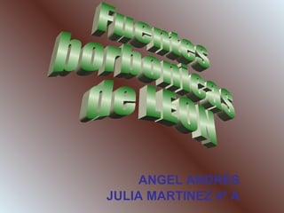 ANGEL ANDRÉS JULIA MARTINEZ 4º A Fuentes  borbonicas  de LEON 