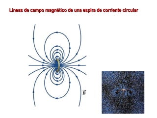 Líneas de campo magnético de una espira de corriente circular 