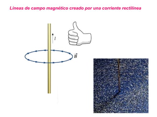 Líneas de campo magnético creado por una corriente rectilínea 