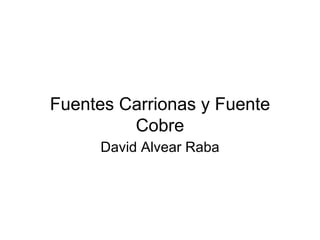 Fuentes Carrionas y Fuente
         Cobre
     David Alvear Raba
 