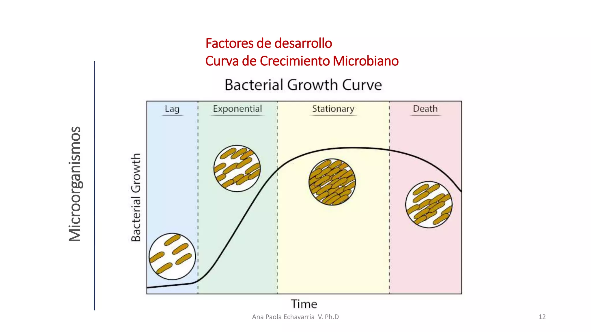 Fuentes de contaminación microbiana de los alimentos.pptx