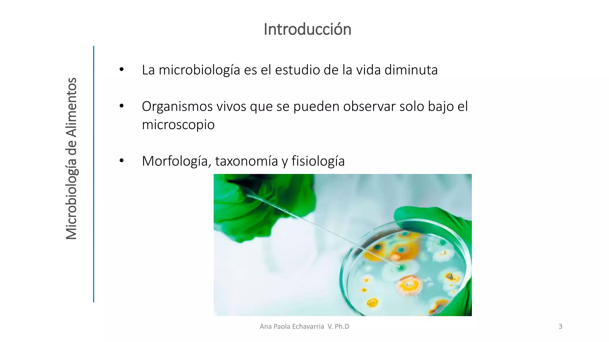 Fuentes de contaminación microbiana de los alimentos.pptx