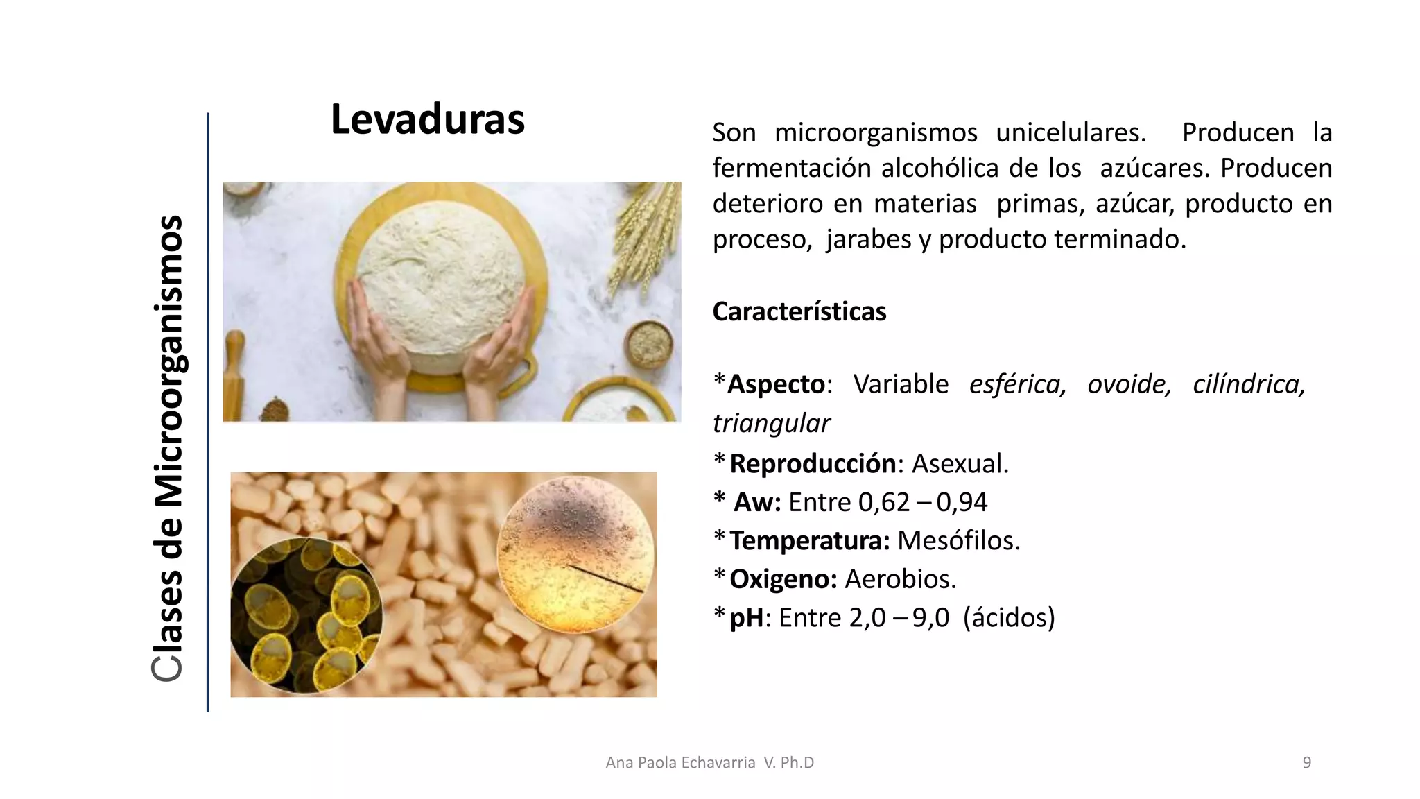 Fuentes de contaminación microbiana de los alimentos.pptx