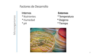 Fuentes de contaminación microbiana de los alimentos.pptx