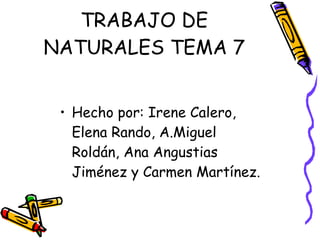 TRABAJO DE NATURALES TEMA 7 ,[object Object]