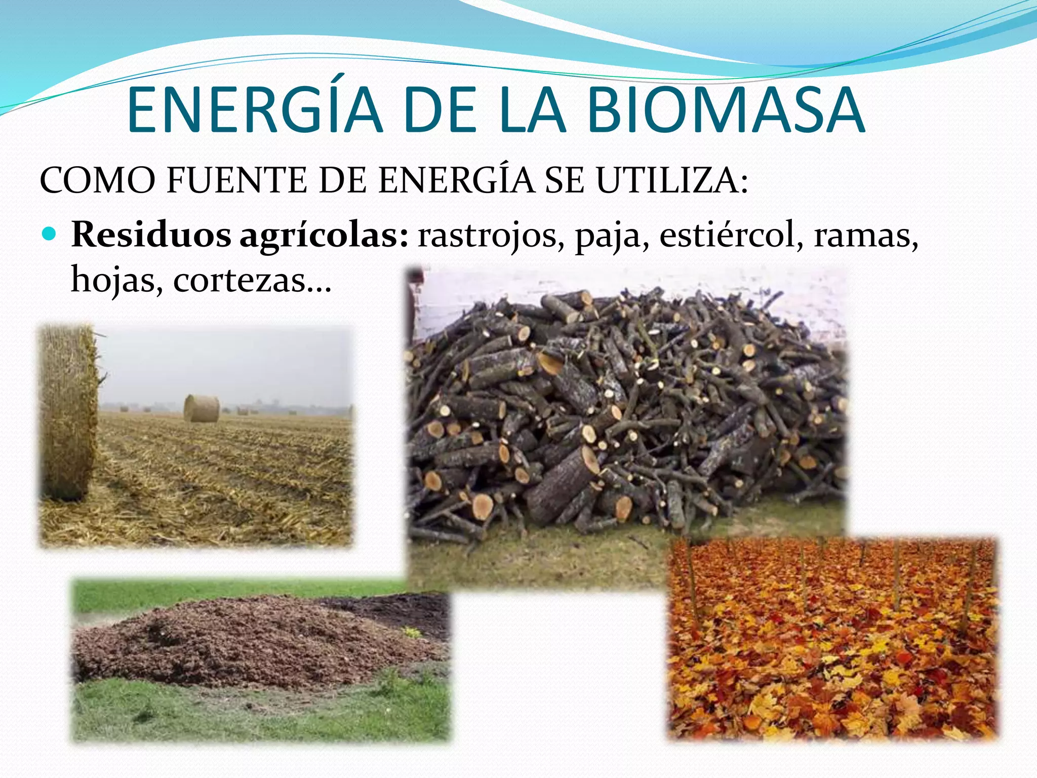 ENERGÍA DE LA BIOMASA
COMO FUENTE DE ENERGÍA SE UTILIZA:
 Residuos agrícolas: rastrojos, paja, estiércol, ramas,
hojas, cortezas…
 