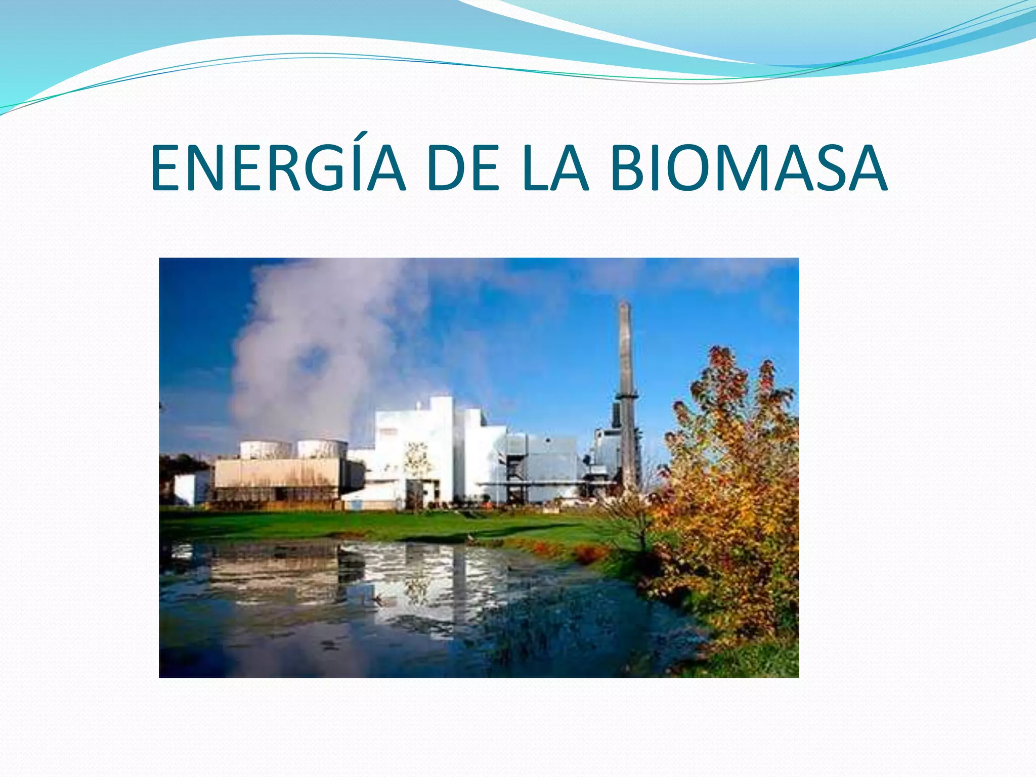 ENERGÍA DE LA BIOMASA
 