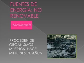 LOS COMBUSTIBLES
PROCEDEN DE
ORGANISMOS
MUERTOS HACE
MILLONES DE AÑOS