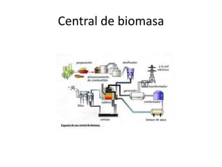 Central de biomasa