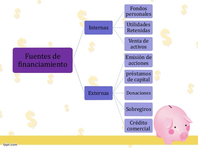 Fuentes de financiamiento.