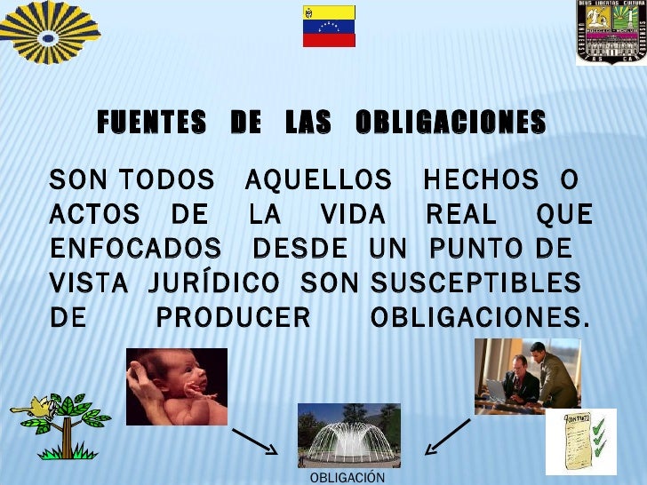 Cuales Son Las Fuentes De Obligaciones