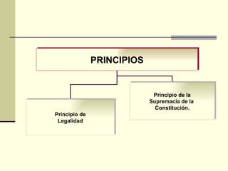PRINCIPIOS Principio de la  Supremacía de la  Constitución. Principio de Legalidad  