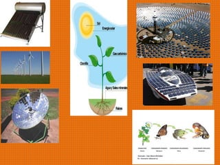 Fuentes naturales de luz.