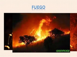 • El fuego es otra fuente de iluminación que
produce un brillo así como calor. El fuego es
una fuente de luz natural usada en una
variedad de maneras. La luz de las velas le da
a la habitación una iluminación suave. Una
fogata o los leños quemándose en la
chimenea dan calor y crean un punto focal.
Las antorchas iluminan el camino de la gente
en las noches al exterior.
 