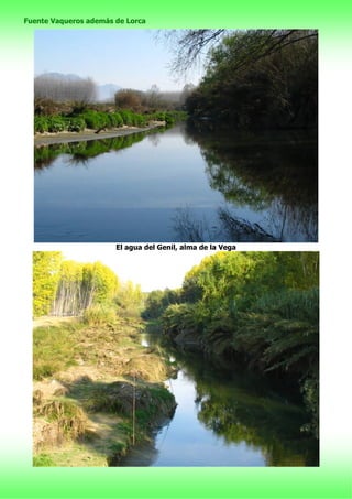 Fuente Vaqueros además de Lorca
El agua del Genil, alma de la Vega
 