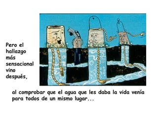 Pero el hallazgo más sensacional vino después,  al comprobar que el agua que les daba la vida venía para todos de un mismo lugar... 