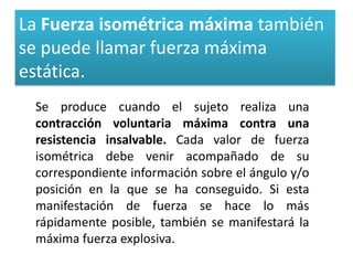 La Fuerza isométrica máxima también
se puede llamar fuerza máxima
estática.
 Se produce cuando el sujeto realiza una
 contracción voluntaria máxima contra una
 resistencia insalvable. Cada valor de fuerza
 isométrica debe venir acompañado de su
 correspondiente información sobre el ángulo y/o
 posición en la que se ha conseguido. Si esta
 manifestación de fuerza se hace lo más
 rápidamente posible, también se manifestará la
 máxima fuerza explosiva.
 