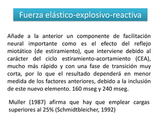 Fuerza elástico-explosivo-reactiva

Añade a la anterior un componente de facilitación
neural importante como es el efecto del reflejo
miotático (de estiramiento), que interviene debido al
carácter del ciclo estiramiento-acortamiento (CEA),
mucho más rápido y con una fase de transición muy
corta, por lo que el resultado dependerá en menor
medida de los factores anteriores, debido a la inclusión
de este nuevo elemento. 160 mseg y 240 mseg.

Muller (1987) afirma que hay que emplear cargas
superiores al 25% (Schmidtbleicher, 1992)
 