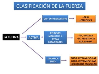 CLASIFICACIÓN DE LA FUERZA
                                                  •GRAL
                     OBJ. ENTRENAMIENTO
                                                •ESPECIFICA




                         RELACIÓN
                        MAGNITUD Y              FZA, MAXIMA
LA FUERZA   ACTIVA                            FZA. RESISTENCIA
                           OTRAS
                        CAPACIDADES              FZA. RAPIDA




                       DINAMICA           COOR. INTRAMUSCULAR
                         ENTO.            COOR. INTERMUSCULAR
                                          HIPERTROFIA MUSCULAR
 