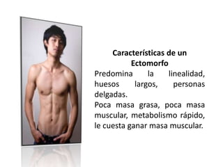 Características de un
Ectomorfo
Predomina la linealidad,
huesos largos, personas
delgadas.
Poca masa grasa, poca masa
muscular, metabolismo rápido,
le cuesta ganar masa muscular.
 