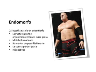 Endomorfo
Características de un endomorfo
• Estructura grande
predominantemente masa grasa
• Metabolismo lento
• Aumentar de peso fácilmente
• Le cuesta perder grasa
• Hipoactivos
 