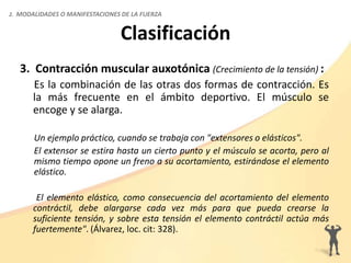 3. Contracción muscular auxotónica (Crecimiento de la tensión) :
Es la combinación de las otras dos formas de contracción. Es
la más frecuente en el ámbito deportivo. El músculo se
encoge y se alarga.
Un ejemplo práctico, cuando se trabaja con "extensores o elásticos".
El extensor se estira hasta un cierto punto y el músculo se acorta, pero al
mismo tiempo opone un freno a su acortamiento, estirándose el elemento
elástico.
El elemento elástico, como consecuencia del acortamiento del elemento
contráctil, debe alargarse cada vez más para que pueda crearse la
suficiente tensión, y sobre esta tensión el elemento contráctil actúa más
fuertemente". (Álvarez, loc. cit: 328).
2. MODALIDADES O MANIFESTACIONES DE LA FUERZA
Clasificación
 