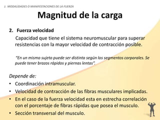 Magnitud de la carga
2. Fuerza velocidad
Capacidad que tiene el sistema neuromuscular para superar
resistencias con la mayor velocidad de contracción posible.
“En un mismo sujeto puede ser distinta según los segmentos corporales. Se
puede tener brazos rápidos y piernas lentas”.
Depende de:
• Coordinación intramuscular.
• Velocidad de contracción de las fibras musculares implicadas.
• En el caso de la fuerza velocidad esta en estrecha correlación
con el porcentaje de fibras rápidas que posea el musculo.
• Sección transversal del musculo.
2. MODALIDADES O MANIFESTACIONES DE LA FUERZA
 