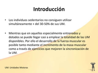 Introducción
• Los individuos sedentarios no consiguen utilizar
simultáneamente + del 30-50% de sus UM.
• Mientras que en aquellos especialmente entrenados y
dotados se puede llegar casi a emplear la totalidad de las UM
disponibles. Por ello el desarrollo de la fuerza muscular es
posible tanto mediante el incremento de la masa muscular
como a través de ejercicios que mejoren la sincronización de
la UM.
UM: Unidades Motoras
 