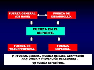 FUERZA EN EL
DEPORTE.
FUERZA GENERAL.
(DE BASE)
FUERZA DE
DESARROLLO.
FUERZA DE
TRANSFERENCIA.
FUERZA
ESPECIAL.
(1)>FUERZA GENERAL (FUERZA DE BASE, ADAPTACIÓN
ANATÓMICA Y PREVENCIÓN DE LESIONES).
(2)>FUERZA ESPECÍFICA.
 
