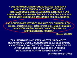 “ LOS FENÓMENOS NEUROMUSCULARES PLASMAN Y
MODULAN LA TENSIÓN, CON FLUCTUACIONES E
INTERACCIONES ENTRE EL AMBIENTE EXTERIOR Y LAS
CARACTERÍSTICAS BIOMECÁNICAS Y FISIOLÓGICAS DE LOS
DIFERENTES MÚSCULOS IMPLICADOS EN LAS ACCIONES.
LAS CONDICIONES (ESTADO) INICIALES DE LOS MÚSCULOS
(reposo, preestiramiento, estado metabólico) QUE PRECEDEN
LA ACCIÓN SERÁN QUIENES CARACTERICEN LAS
EXPRESIONES DE FUERZA”.
(Bosco, C 2000)
“EL AUMENTO DE LA FUERZA NO ESTÁ ÚNICAMENTE
RELACIONADO CON EL INCREMENTO DE LA DENSIDAD DE
LAS PRÓTEÍNAS CONTRÁCTILES, SINO CON LA MEJORA DE
LA TRANSMISIÓN DE FUERZA DESDE LA FIBRAS
MUSCULARES AL SISTEMA ESQUELÉTICO”.
(Verchoshankij,Y 2000)
 