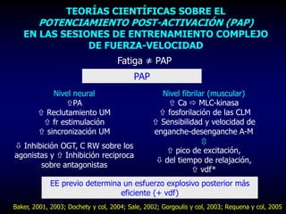 TEORÍAS CIENTÍFICAS SOBRE EL
POTENCIAMIENTO POST-ACTIVACIÓN (PAP)
EN LAS SESIONES DE ENTRENAMIENTO COMPLEJO
DE FUERZA-VELOCIDAD
Fatiga ≠ PAP
PAP
Nivel fibrilar (muscular)
 Ca  MLC-kinasa
 fosforilación de las CLM
 Sensibilidad y velocidad de
enganche-desenganche A-M

 pico de excitación,
 del tiempo de relajación,
 vdf*
Nivel neural
PA
 Reclutamiento UM
 fr estimulación
 sincronización UM
 Inhibición OGT, C RW sobre los
agonistas y  Inhibición reciproca
sobre antagonistas
Baker, 2001, 2003; Dochety y col, 2004; Sale, 2002; Gorgoulis y col, 2003; Requena y col, 2005
EE previo determina un esfuerzo explosivo posterior más
eficiente (+ vdf)
 