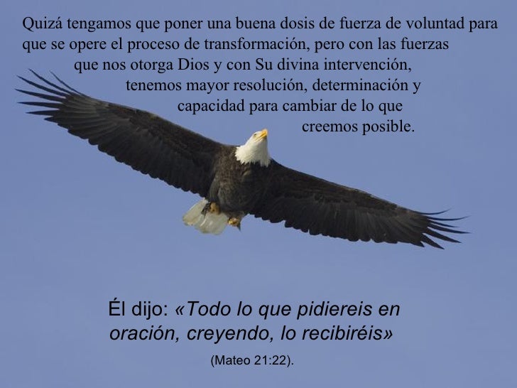Fuerza de águila