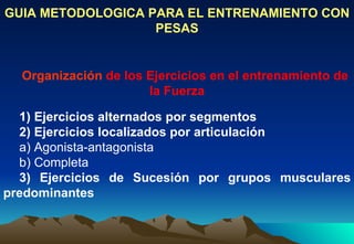 GUIA METODOLOGICA PARA EL ENTRENAMIENTO CON PESAS Organización  de los Ejercicios en el entrenamiento de la Fuerza 1) Ejercicios alternados por segmentos 2) Ejercicios localizados por articulación a) Agonista-antagonista b) Completa 3) Ejercicios de Sucesión por grupos musculares predominantes 