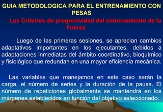 GUIA METODOLOGICA PARA EL ENTRENAMIENTO CON PESAS Los Criterios de progresividad del entrenamiento de la Fuerza     Luego de las primeras sesiones, se aprecian cambios adaptativos importantes en los ejecutantes, debidos a adaptaciones inmediatas del ámbito coordinativo, bioquímico y fisiológico que redundan en una mayor eficiencia mecánica. Las variables que manejamos en este caso serán la carga, el número de series y la duración de la pausa. El número de repeticiones globalmente se mantendrá en los márgenes establecidos en función del objetivo seleccionado. 
