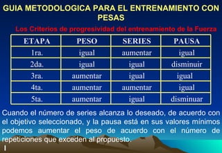 GUIA METODOLOGICA PARA EL ENTRENAMIENTO CON PESAS Los Criterios de progresividad del entrenamiento de la Fuerza Cuando el número de series alcanza lo deseado, de acuerdo con el objetivo seleccionado, y la pausa está en sus valores mínimos podemos aumentar el peso de acuerdo con el número de repeticiones que exceden al propuesto.    l   disminuar   igual   aumentar   5ta.   igual   aumentar   aumentar   4ta. igual    igual   aumentar   3ra.   disminuir   igual   igual   2da.   igual   aumentar   igual   1ra.   PAUSA   SERIES   PESO   ETAPA 