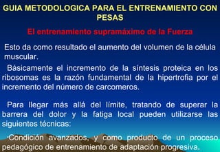 GUIA METODOLOGICA PARA EL ENTRENAMIENTO CON PESAS El entrenamiento supramáximo de la Fuerza Básicamente el incremento de la síntesis proteica en los ribosomas es la razón fundamental de la hipertrofia por el incremento del número de carcomeros. Esto da como resultado el aumento del volumen de la célula  muscular.  Para llegar más allá del límite, tratando de superar la barrera del dolor y la fatiga local pueden utilizarse las siguientes técnicas: Condición avanzados, y como producto de un proceso pedagógico de entrenamiento de adaptación progresiva . 