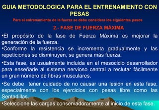 GUIA METODOLOGICA PARA EL ENTRENAMIENTO CON PESAS El propósito de la fase de Fuerza Máxima es mejorar la generación de la fuerza.  Para el entrenamiento de la fuerza se debe considera los siguientes pasos Conforme la resistencia se incrementa gradualmente y las repeticiones se disminuyen, se genera más fuerza.  Esta fase, es usualmente incluida en el mesociclo desarrollador para enseñarle al sistema nervioso central a reclutar fácilmente un gran número de fibras musculares. Se debe  tener cuidado de no causar una lesión en esta fase, especialmente con los ejercicios con pesas libre como las Sentadillas.  Seleccione las cargas conservadoramente al inicio de esta fase. 2.- FASE DE FUERZA MÁXIMA 