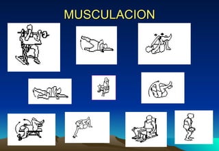 MUSCULACION 