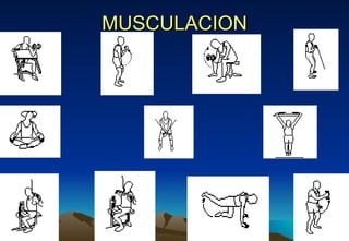 MUSCULACION 