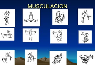 MUSCULACION 