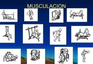 MUSCULACION 