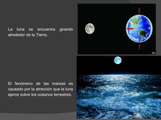 La luna se encuentra girando
alrededor de la Tierra.
El fenómeno de las mareas es
causado por la atracción que la luna
ejerce sobre los océanos terrestres.
 