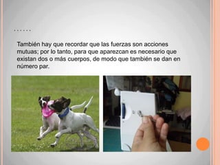 ……También hay que recordar que las fuerzas son acciones mutuas; por lo tanto, para que aparezcan es necesario que existan dos o más cuerpos, de modo que también se dan en número par.