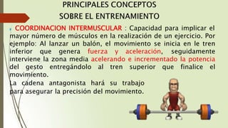 FUERZA ENTRENAMIENTO 33.pptx