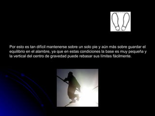 Por esto es tan difícil mantenerse sobre un solo pie y aún más sobre guardar el equilibrio en el alambre, ya que en estas condiciones la base es muy pequeña y la vertical del centro de gravedad puede rebasar sus límites fácilmente.                                         Fig. 16. Cuando una persona está en pie, la vertical de su centro de gravedad pasa por la superficie limitada por las plantas de sus pies.  