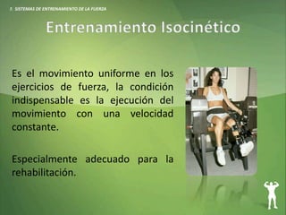 Es el movimiento uniforme en los
ejercicios de fuerza, la condición
indispensable es la ejecución del
movimiento con una velocidad
constante.
Especialmente adecuado para la
rehabilitación.
7. SISTEMAS DE ENTRENAMIENTO DE LA FUERZA
 