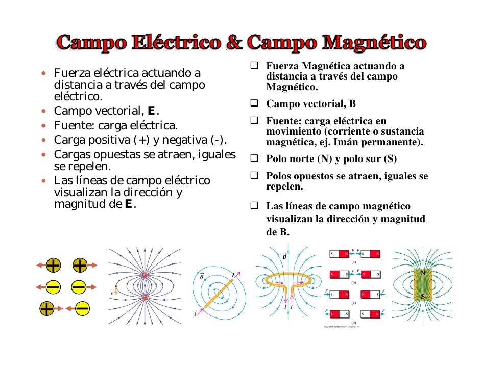 Fuerza Final Nivel Cero B Profesores